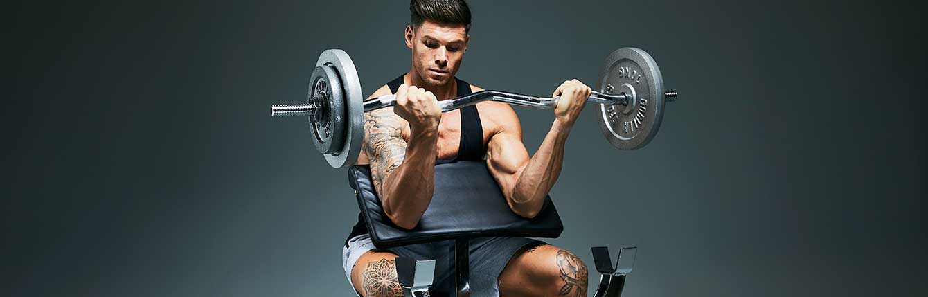 Hauistreeni hauispenkillä