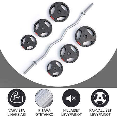 Hauistanko ja levypainot